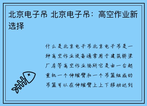北京电子吊 北京电子吊：高空作业新选择